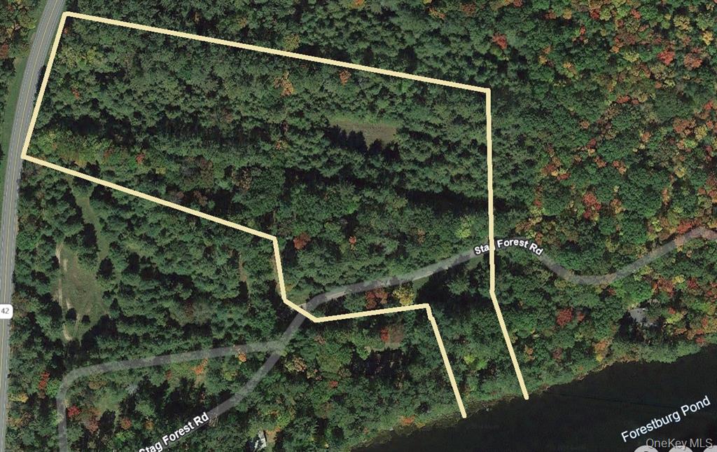 Stag Forest Road Forestburgh, NY 12777 - Photo 33 of 33 a view of a small yard