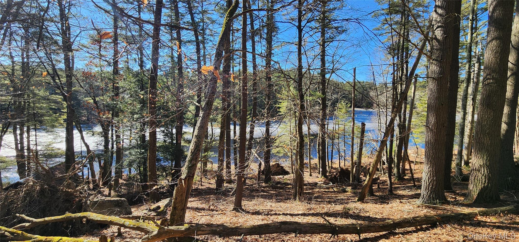 Stag Forest Road Forestburgh, NY 12777 - Photo 4 of 33