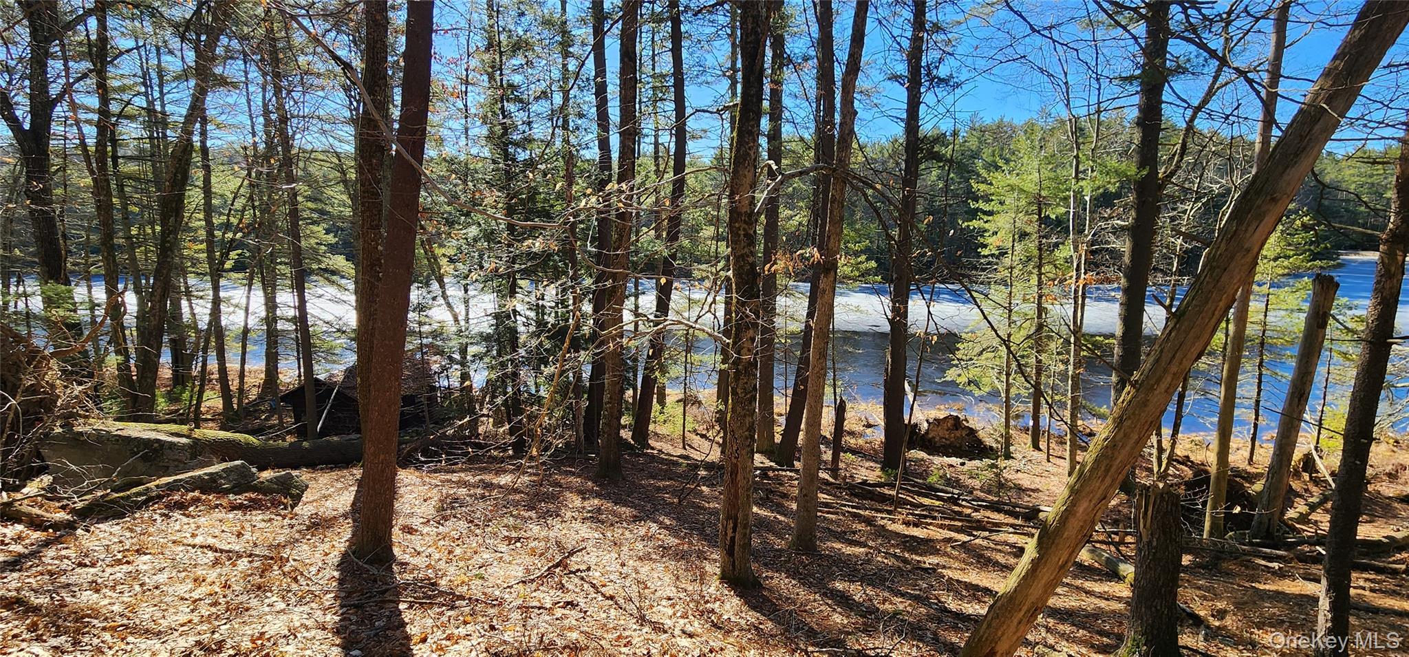 Stag Forest Road Forestburgh, NY 12777 - Photo 5 of 33 a view of a outdoor space