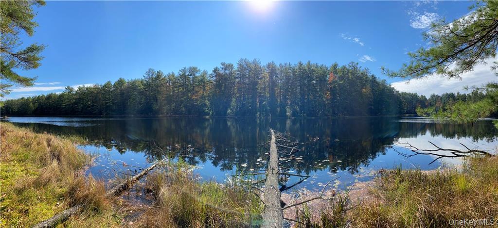 Stag Forest Road Forestburgh, NY 12777 - Photo 6 of 33 a view of a lake in a forest