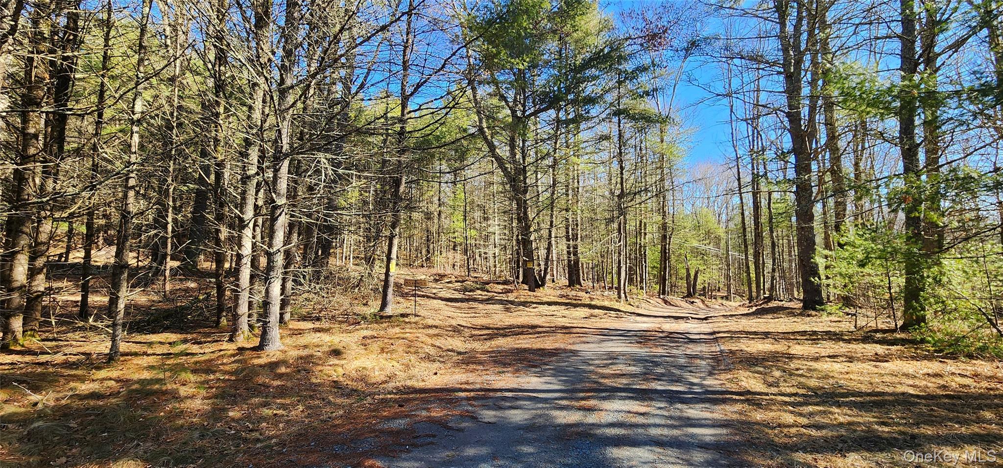 Stag Forest Road Forestburgh, NY 12777 - Photo 7 of 33 a view of road with trees