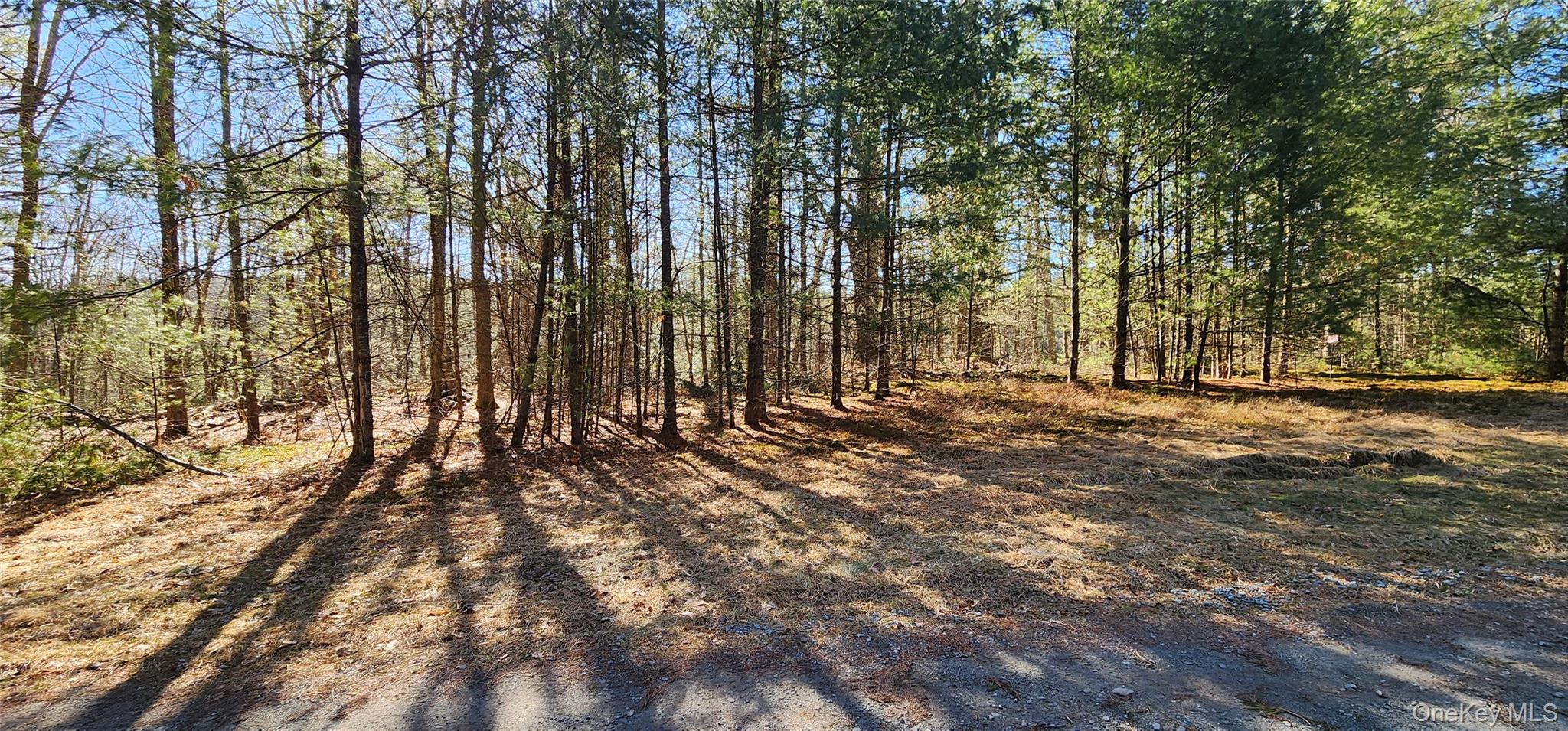Stag Forest Road Forestburgh, NY 12777 - Photo 9 of 33 a view of outdoor space with trees