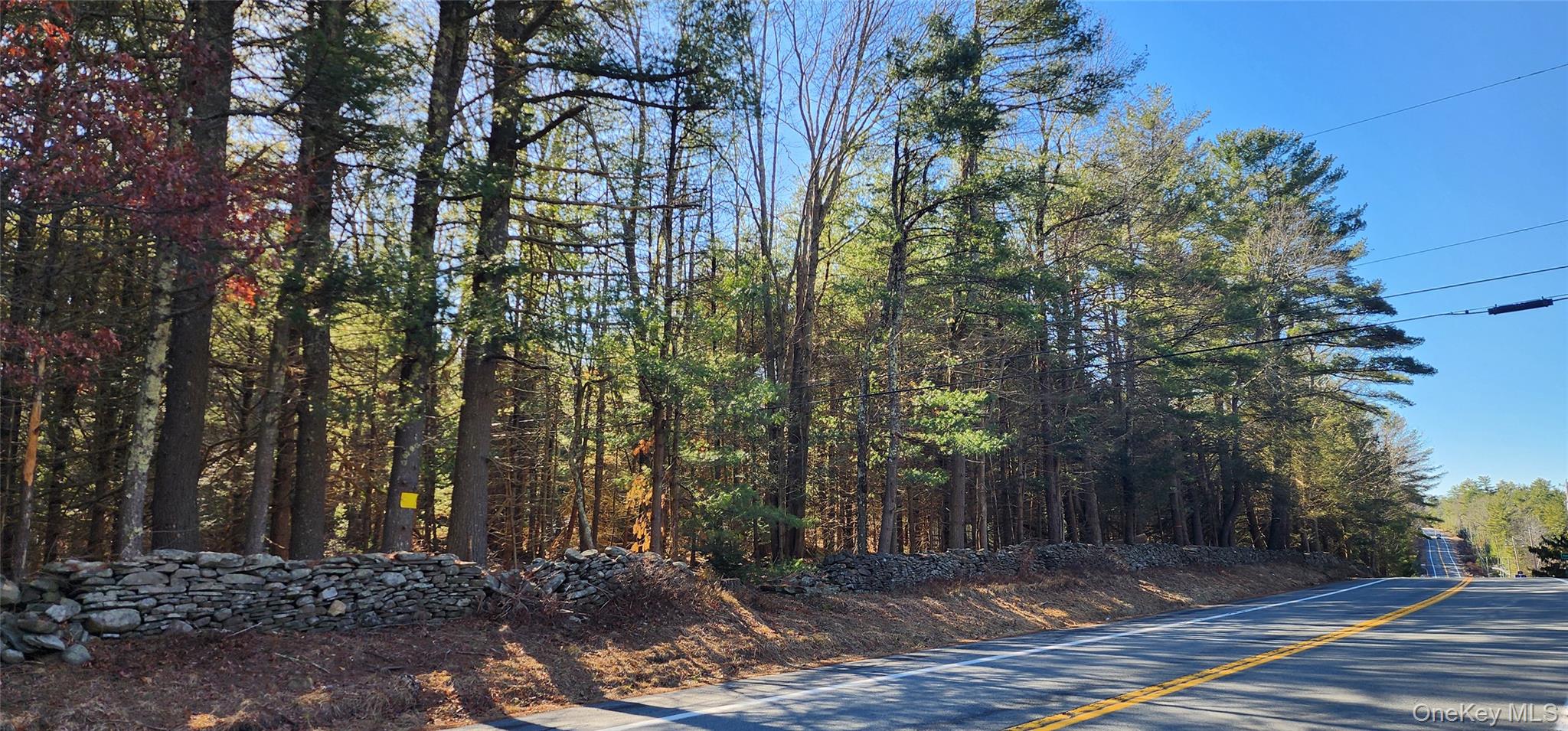 Stag Forest Road Forestburgh, NY 12777 - Photo 10 of 33 a view of a yard with plants and trees