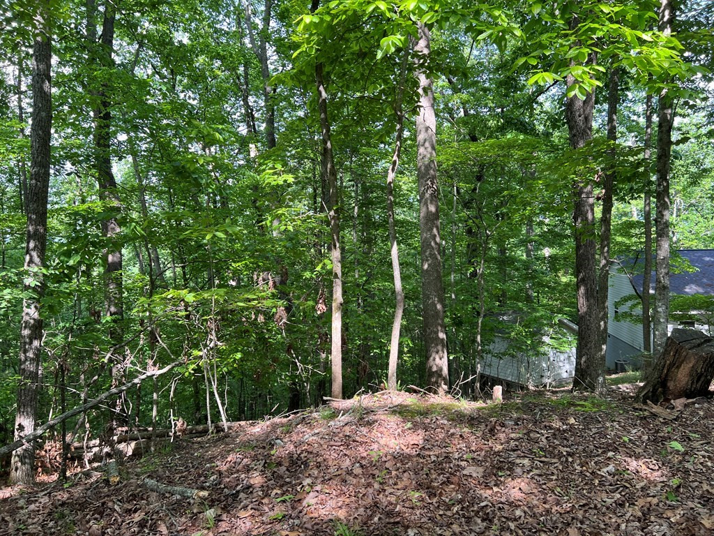 Lot 26 Longview Ridge Hayesville, NC 28904 - Photo 3 of 17