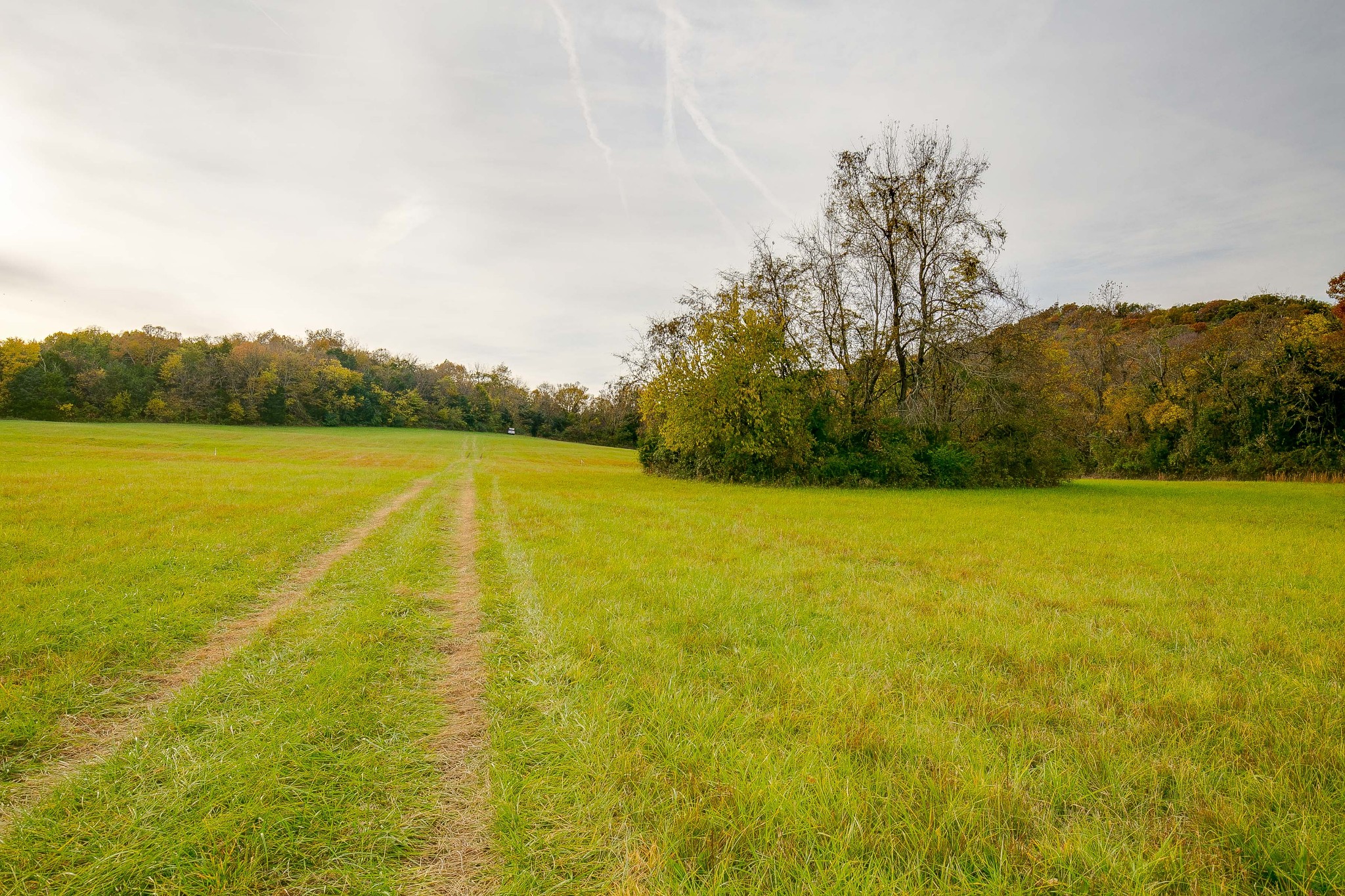 1362 Shop Springs Road Lebanon, TN 37090 - Photo 40 of 41 a view of an ocean and beach