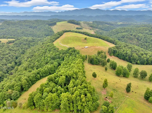 $475,000 | 0 Strong Hollow Lane, Fort Blackmore, VA 24250