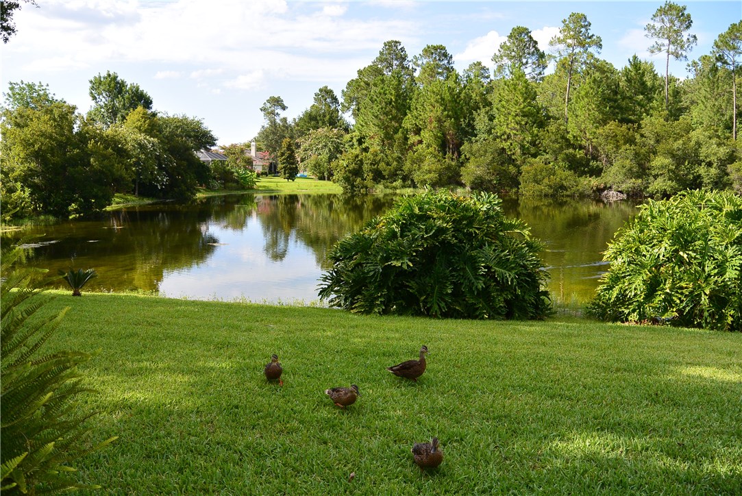 Fouraker Road Jacksonville, FL 32221 - Photo 1 of 1 Gallery Image 1