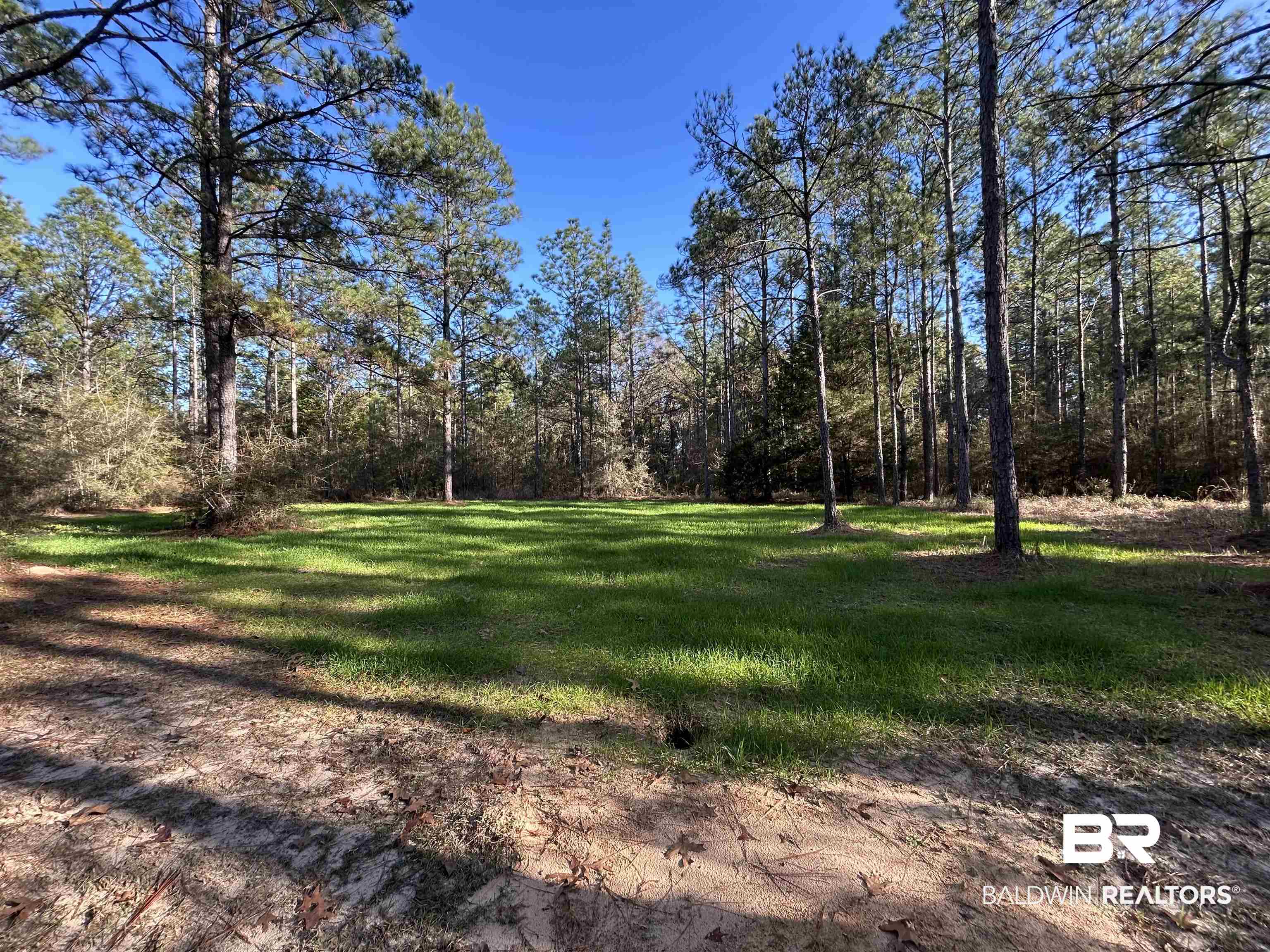9550 A Sand Ridge Road Citronelle, AL 36522 - Photo 7 of 16 View of yard