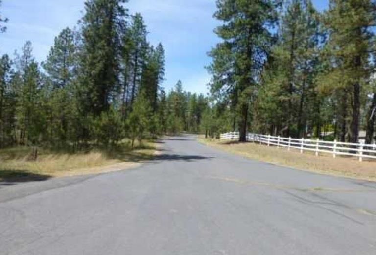 16414 North Saddle Hill Road Colbert, WA 99005 - Photo 4 of 18