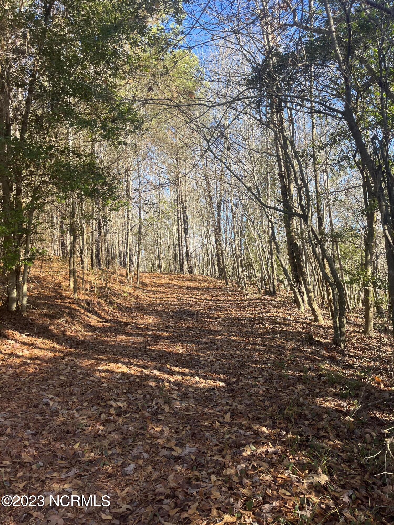 541 Pleasant Grove Church Road Mount Gilead, NC 27306 - Photo 14 of 24 IMG_1361