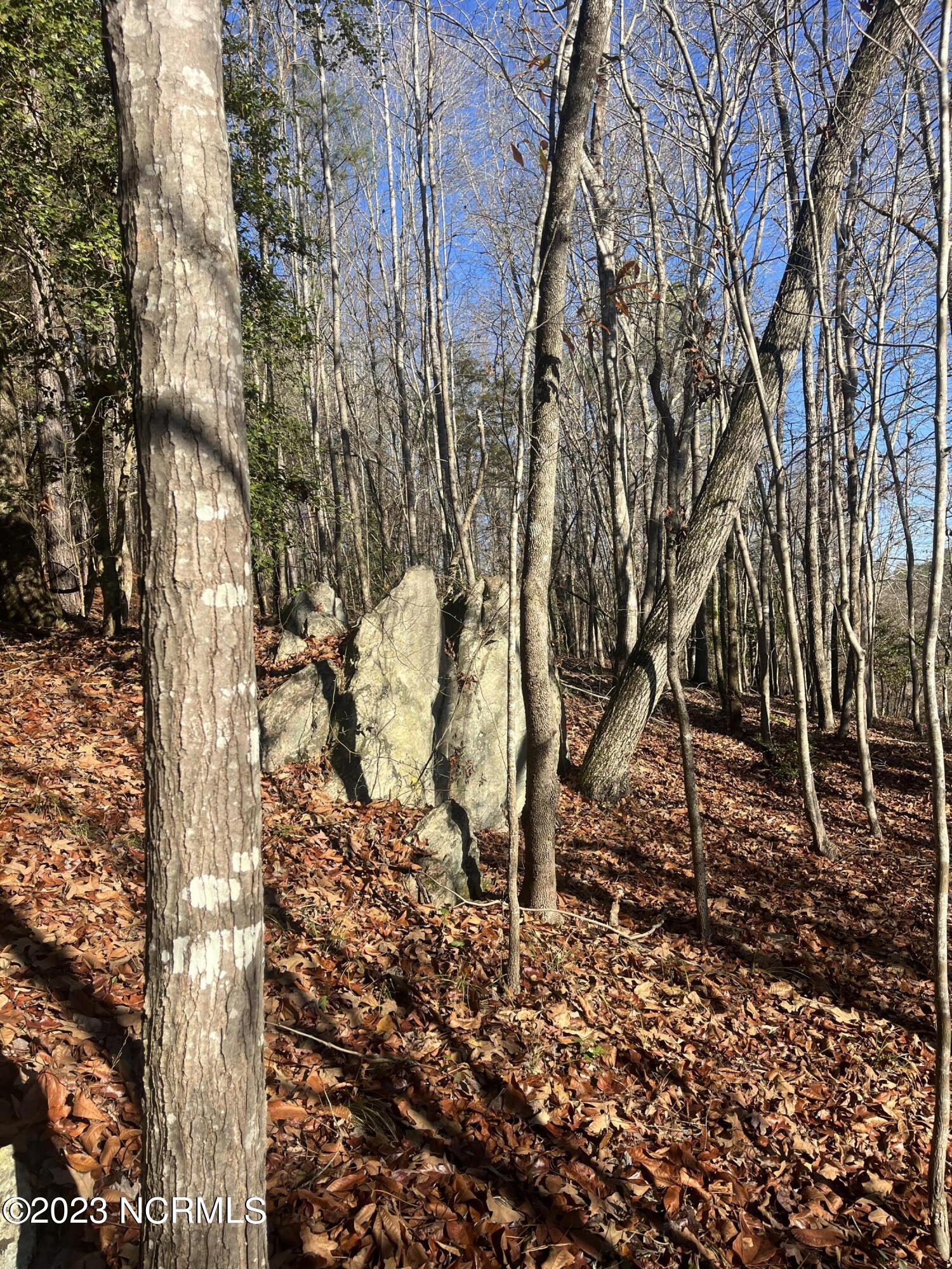 541 Pleasant Grove Church Road Mount Gilead, NC 27306 - Photo 15 of 24 IMG_1363