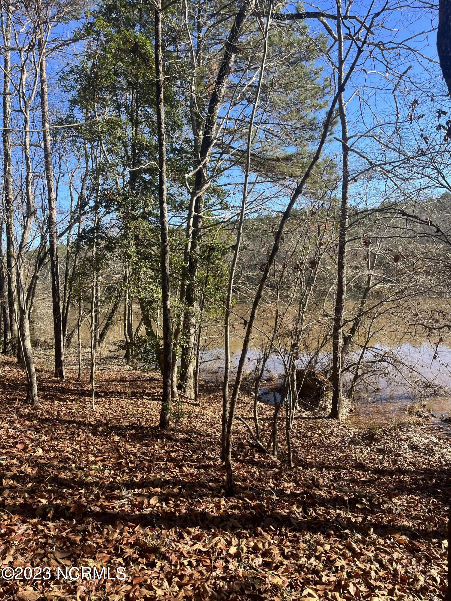 541 Pleasant Grove Church Road Mount Gilead, NC 27306 - Photo 16 of 24 IMG_1364