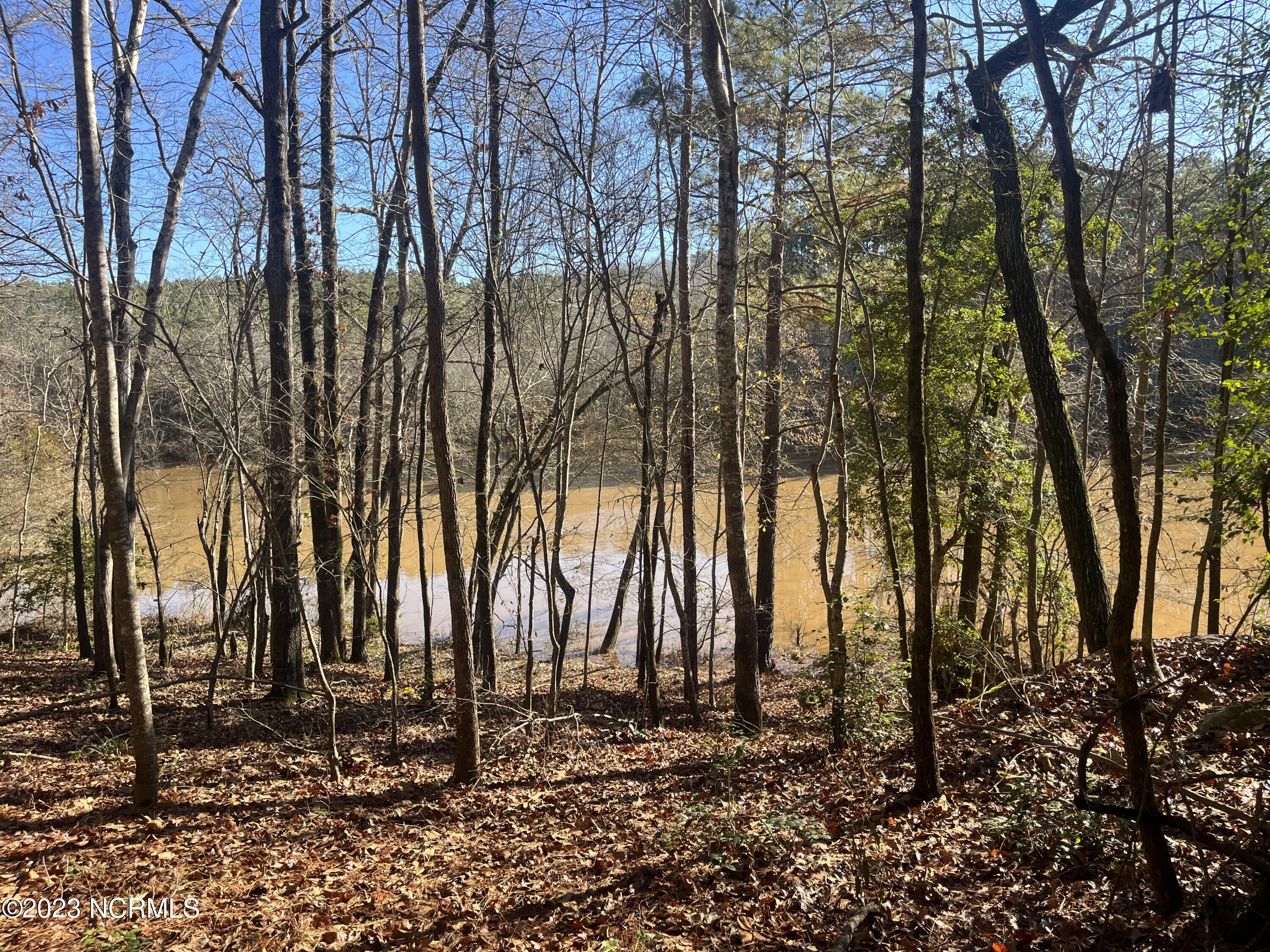 541 Pleasant Grove Church Road Mount Gilead, NC 27306 - Photo 17 of 24 IMG_1365