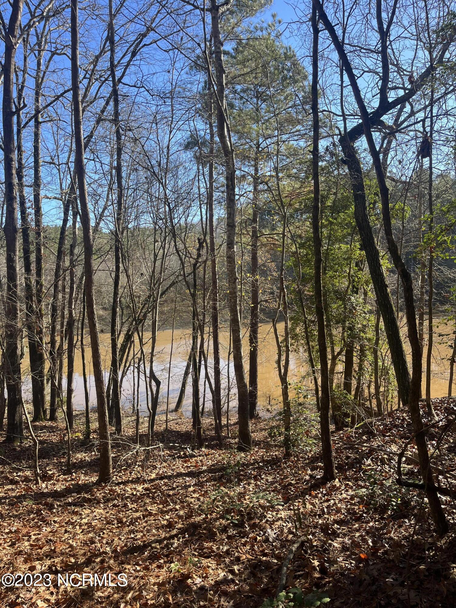 541 Pleasant Grove Church Road Mount Gilead, NC 27306 - Photo 18 of 24 IMG_1366