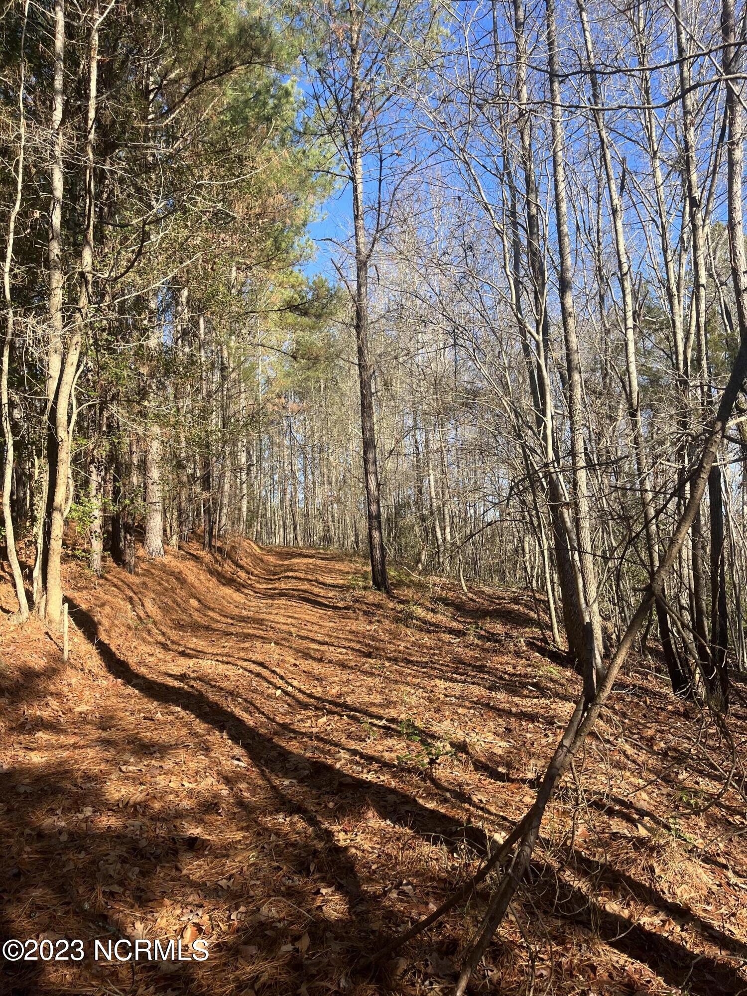 541 Pleasant Grove Church Road Mount Gilead, NC 27306 - Photo 19 of 24 IMG_1367