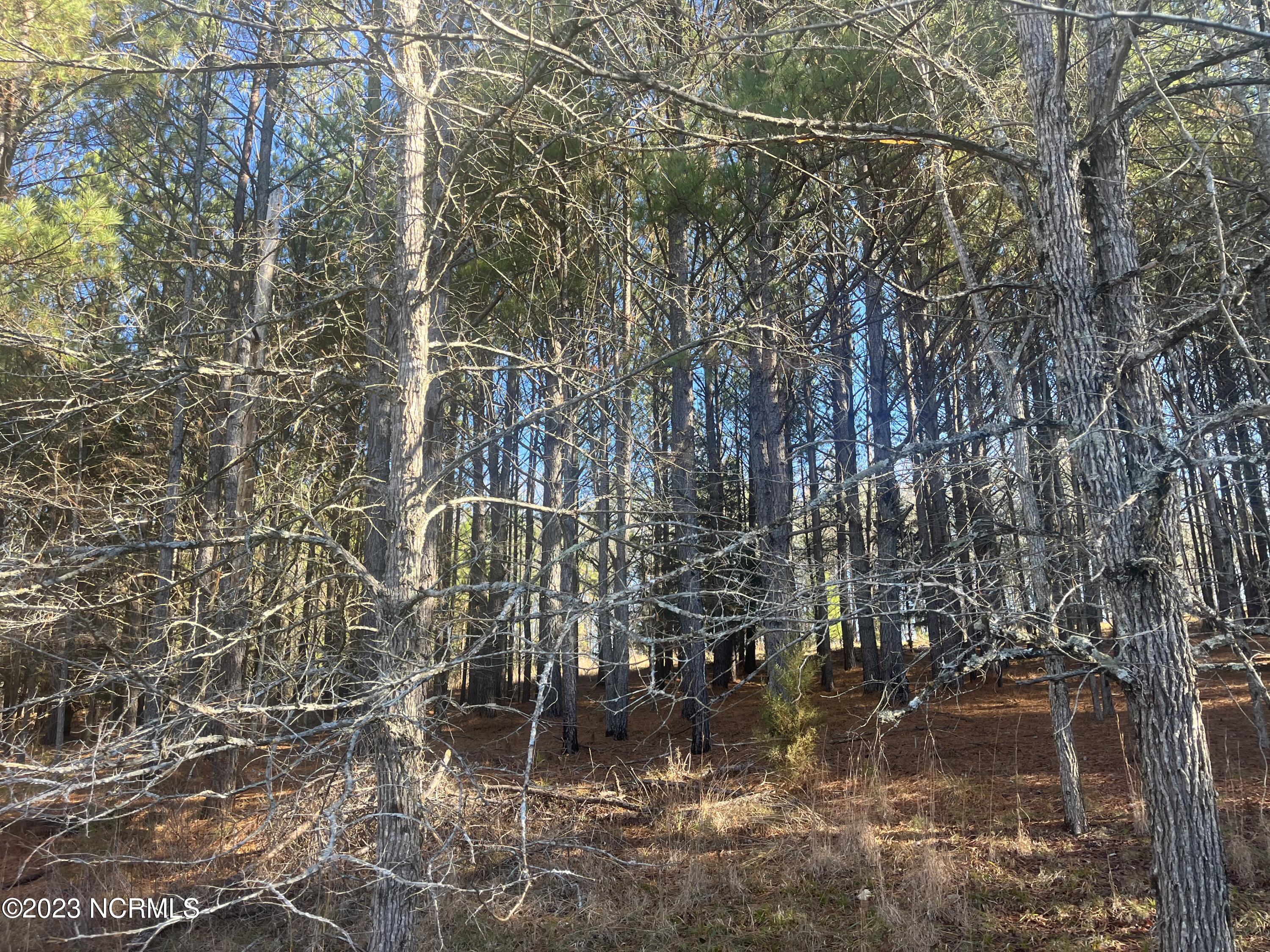 541 Pleasant Grove Church Road Mount Gilead, NC 27306 - Photo 20 of 24 IMG_1368