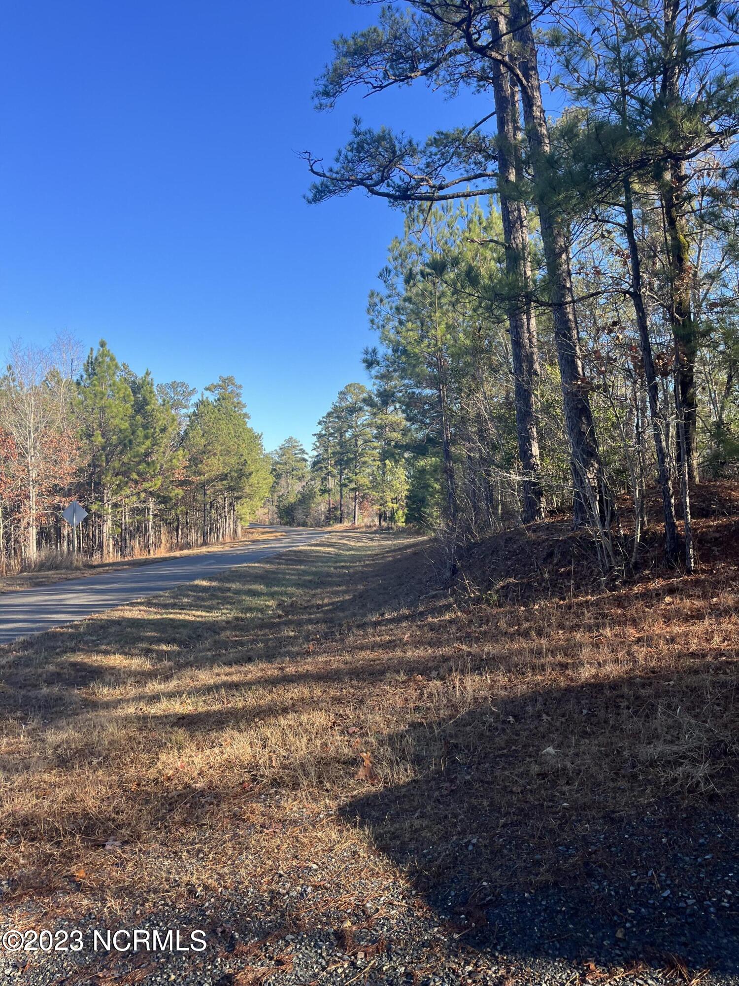 541 Pleasant Grove Church Road Mount Gilead, NC 27306 - Photo 7 of 24 IMG_1338