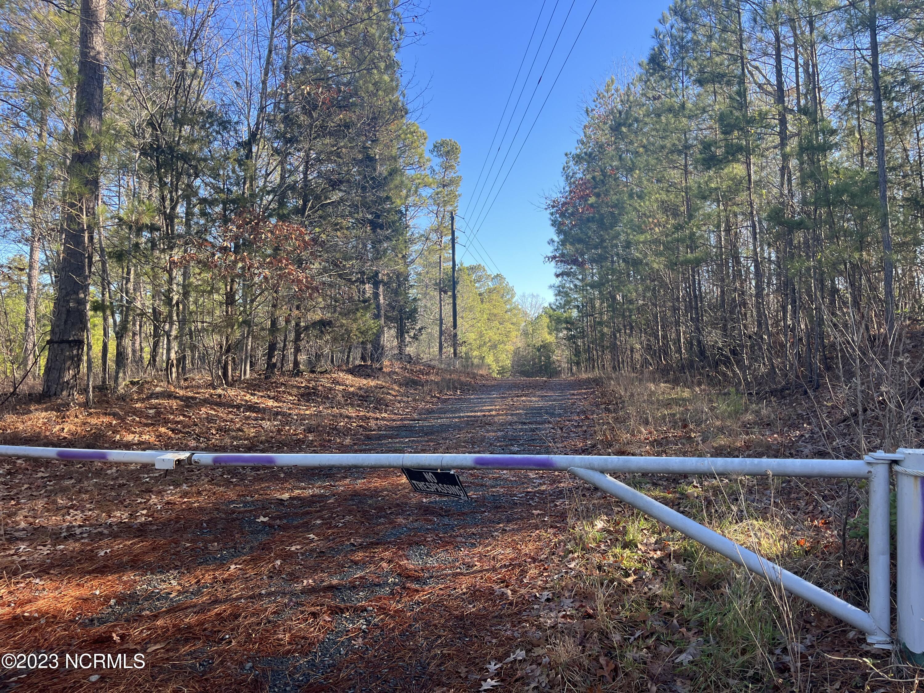 541 Pleasant Grove Church Road Mount Gilead, NC 27306 - Photo 8 of 24 IMG_1339