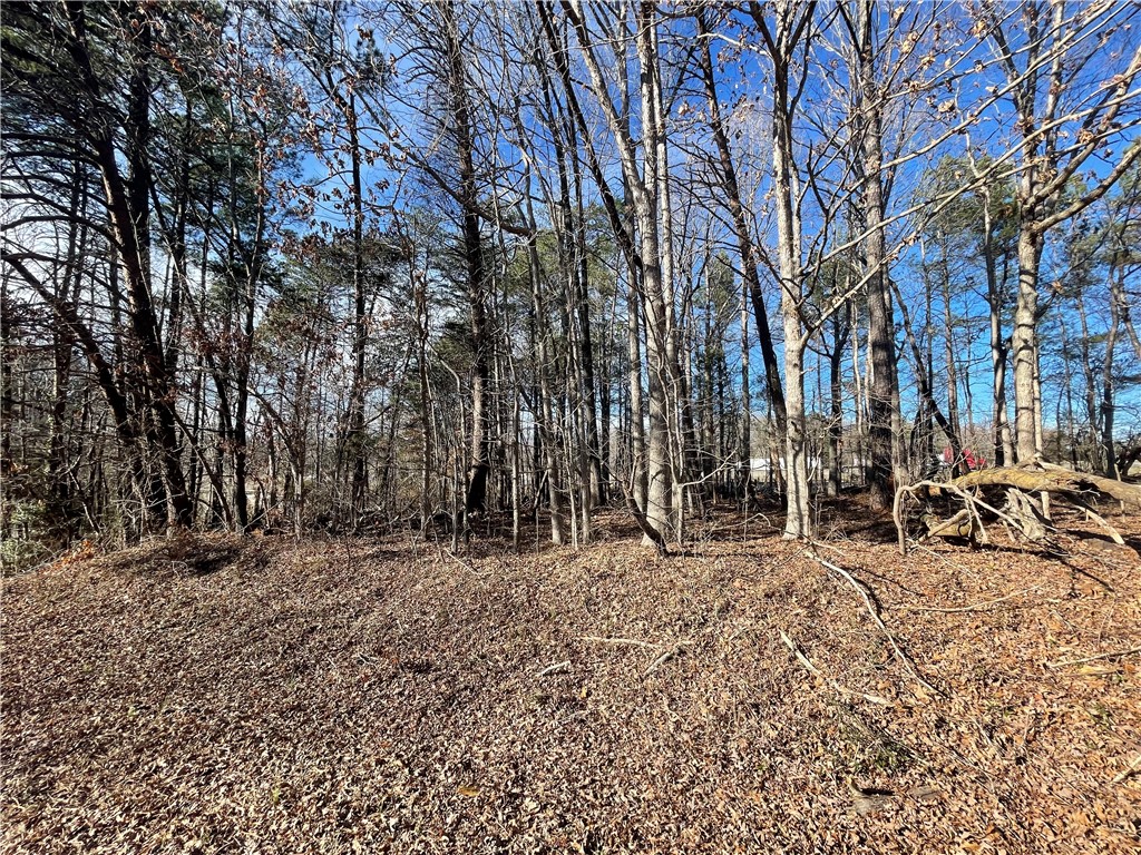 3605 West Ten Road Efland, NC 27243 - Photo 2 of 7 a view of outdoor space with lots of trees