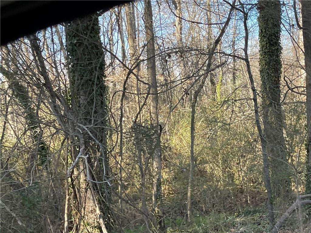 3605 West Ten Road Efland, NC 27243 - Photo 5 of 7 a backyard of a house with lots of trees