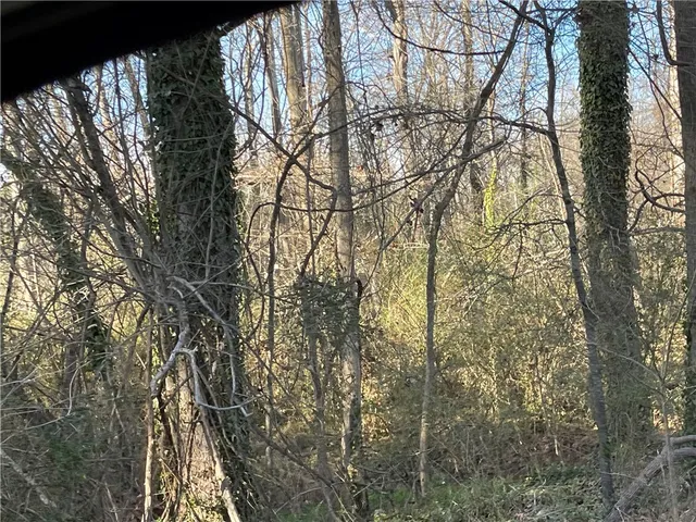 a backyard of a house with lots of trees