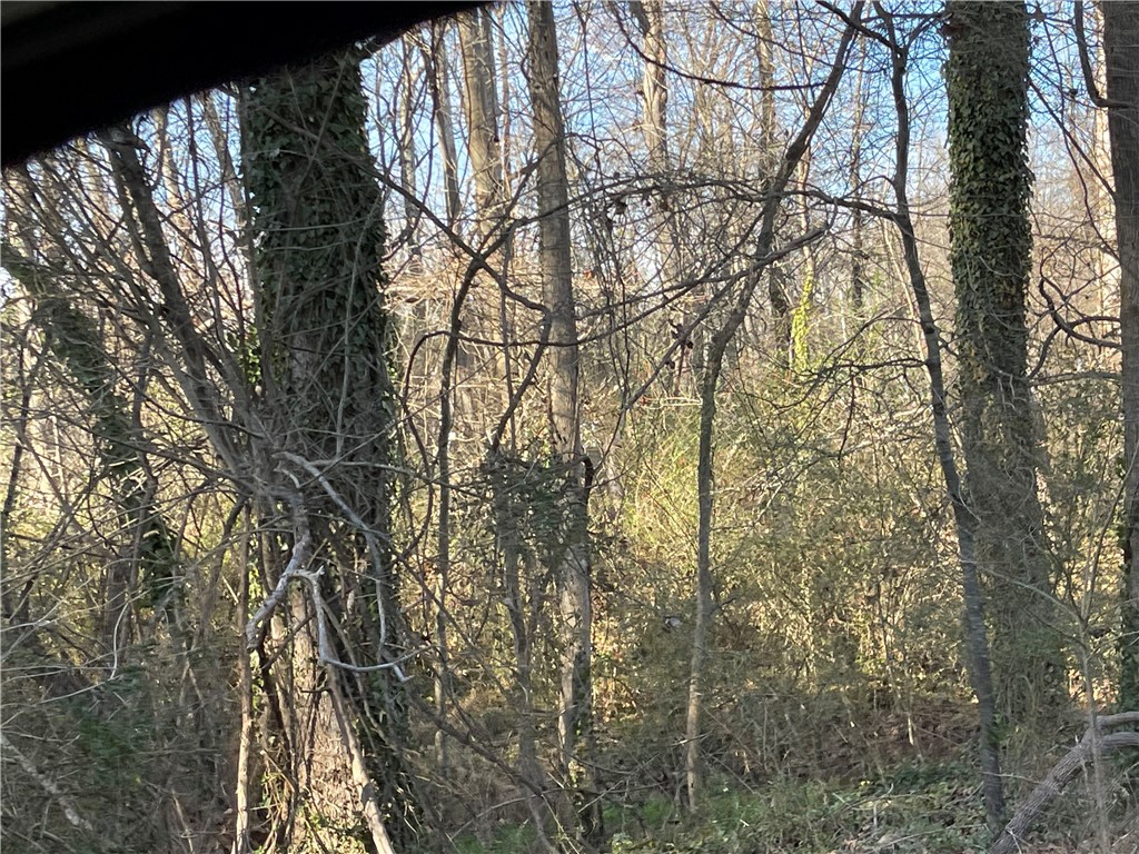3605 West Ten Road Efland, NC 27243 - Photo 5 of 7 a backyard of a house with lots of trees