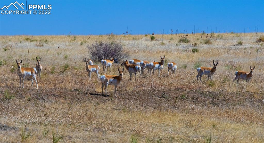 30905 Ridge Road Ramah, CO 80832 - Photo 29 of 36 a view of a road with a building in the background