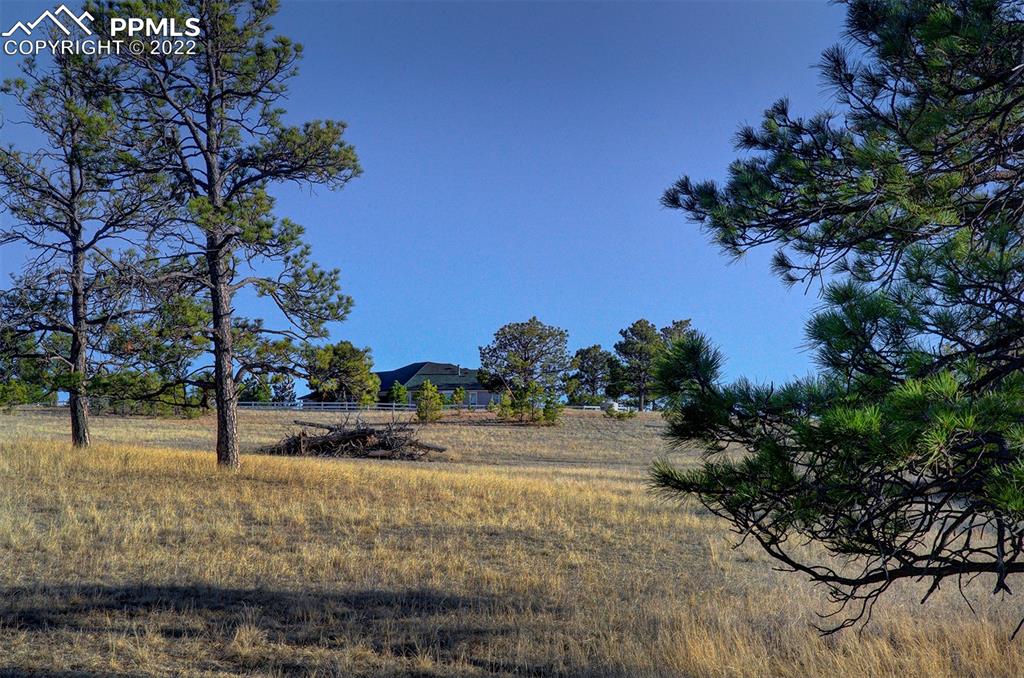 30905 Ridge Road Ramah, CO 80832 - Photo 31 of 36 a view of a yard with plants and trees