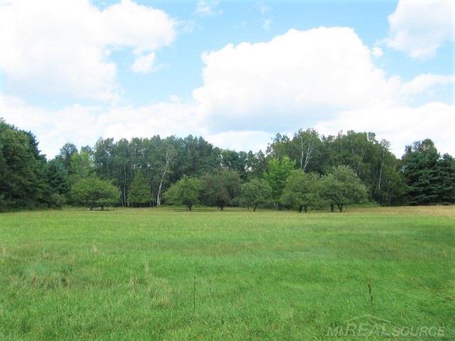 5741 Hintz Road Palms, MI 48465 - Photo 43 of 51 10 Acre Parcel