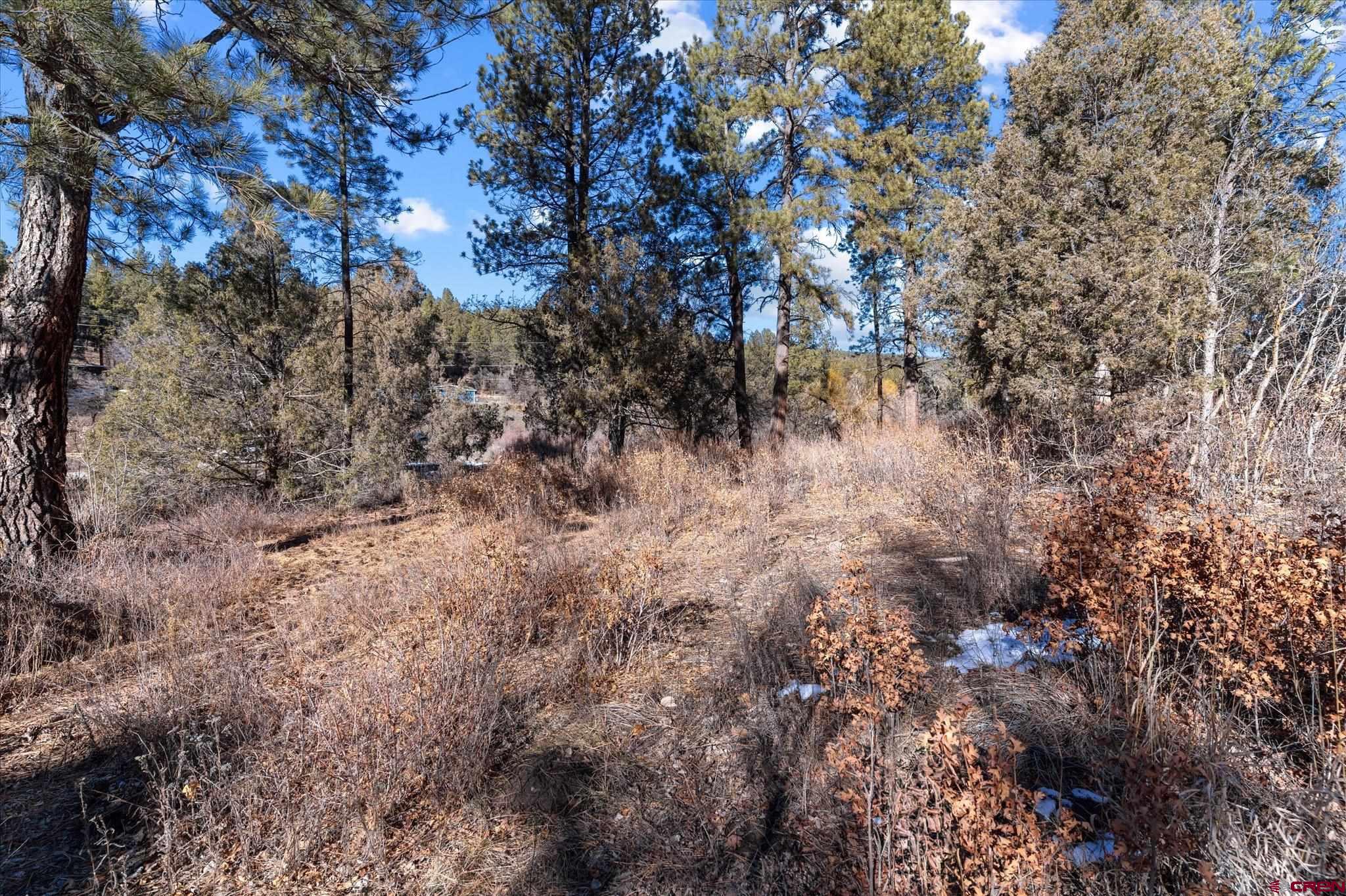 93 Manitou Lane Durango, CO 81301 - Photo 5 of 19