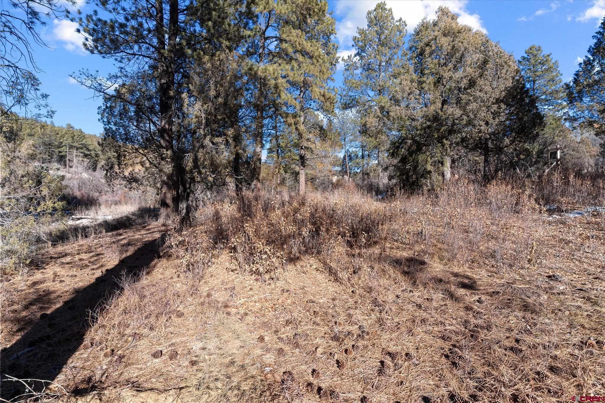 93 Manitou Lane Durango, CO 81301 - Photo 6 of 19