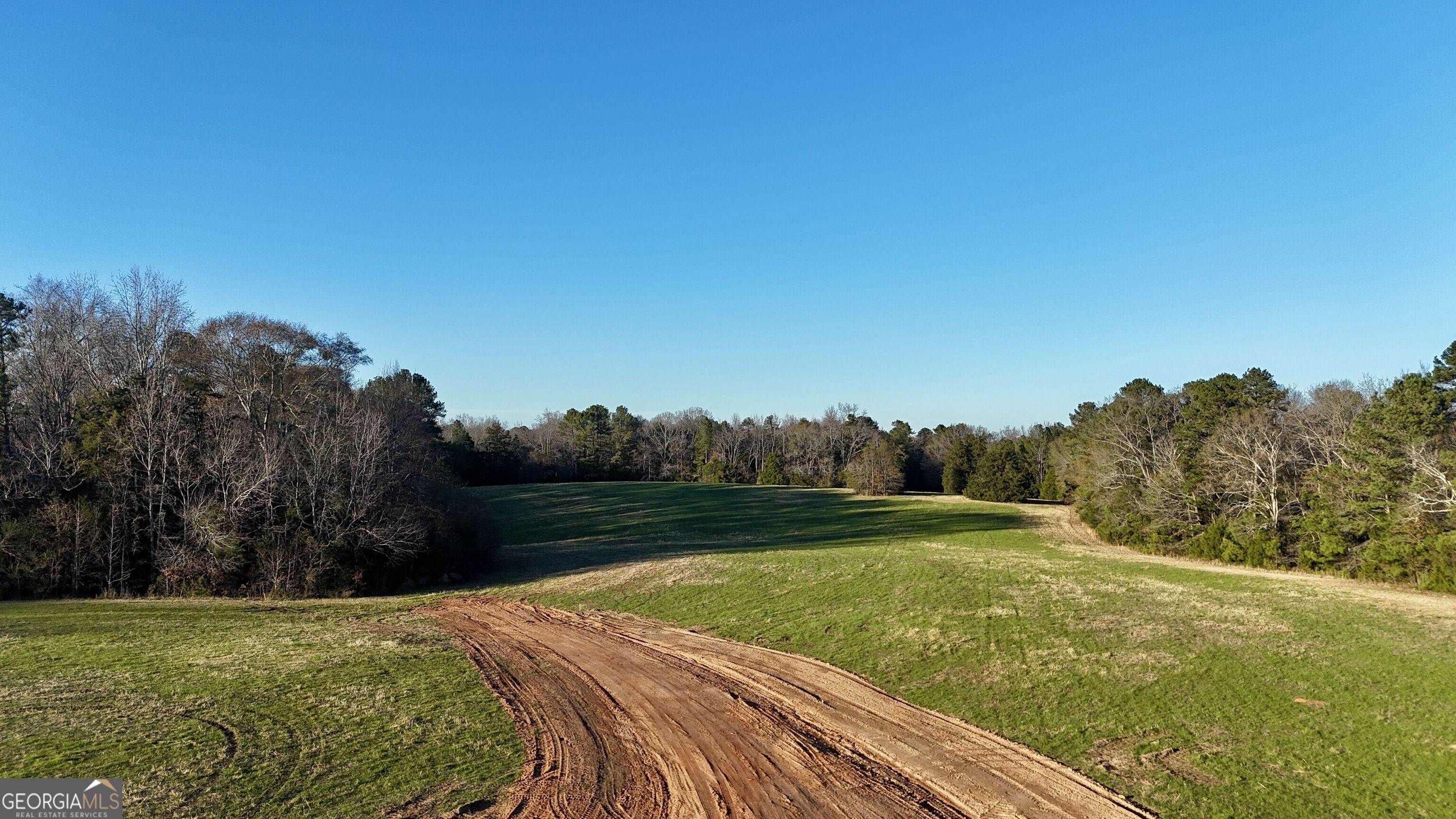a view of a field with an trees