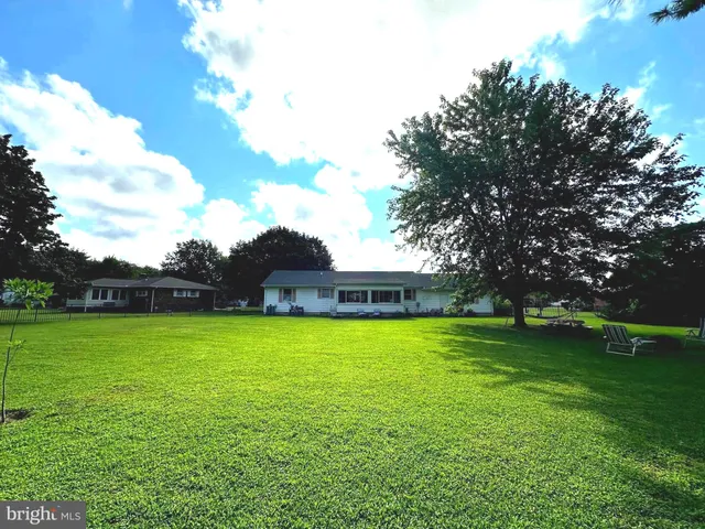 a view of a park with large trees