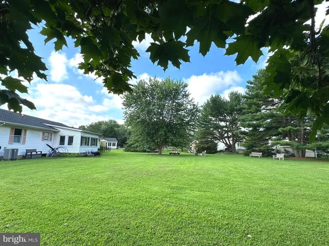 a view of a grassy field with trees