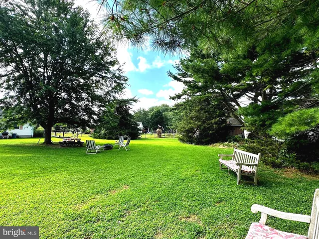 a garden with trees in the background
