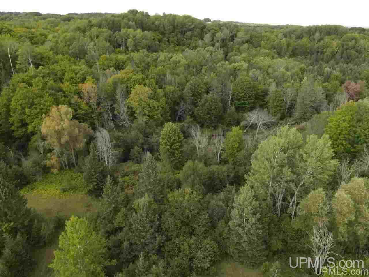 45895 Paradise Road Chassell, MI 49916 - Photo 18 of 45 Gallery Image 18