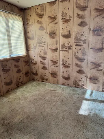 $115,000 | 491 3rd Avenue Southeast, Wells, MN 56097