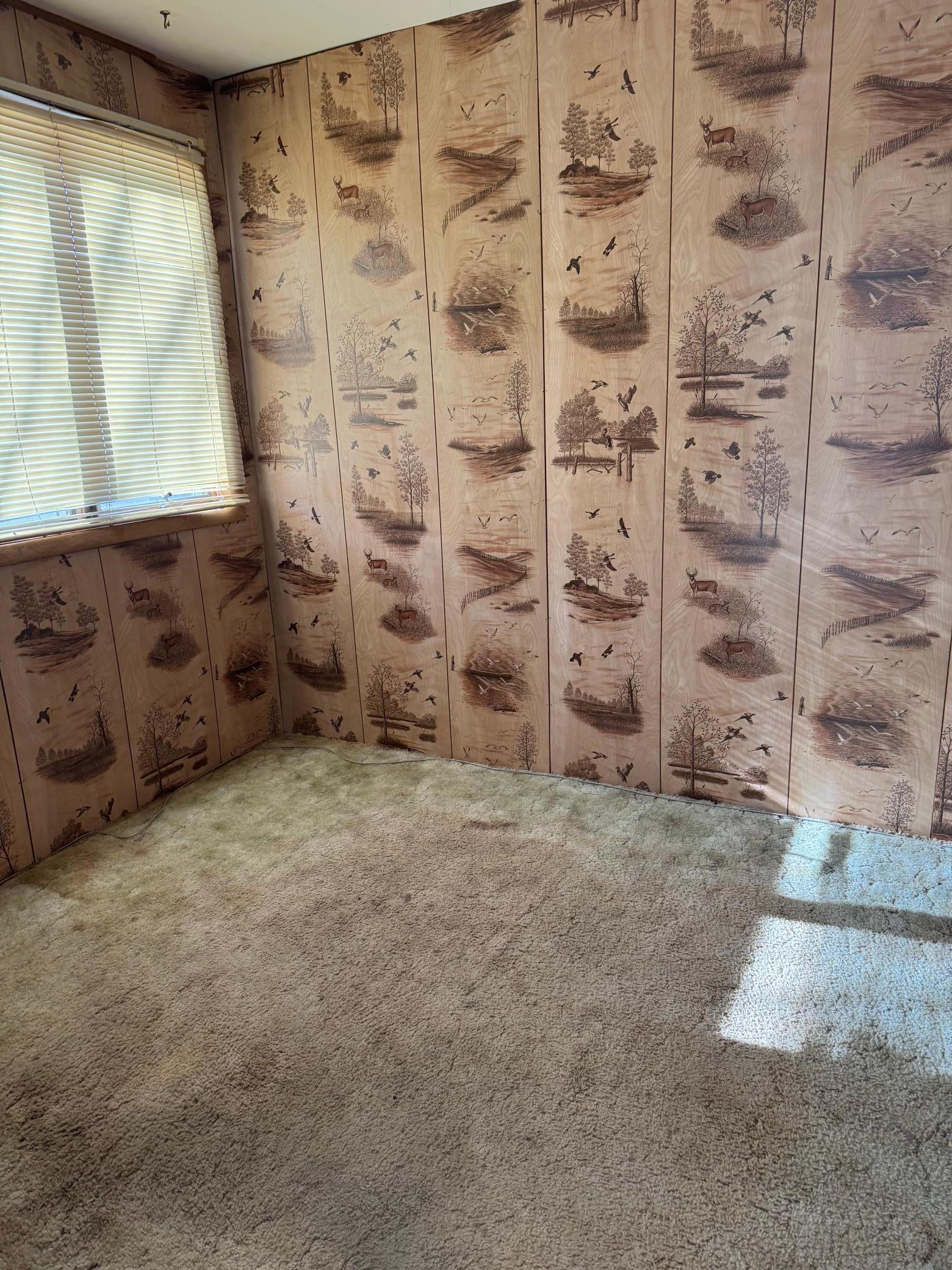 491 3rd Avenue Southeast Wells, MN 56097 - Photo 13 of 26