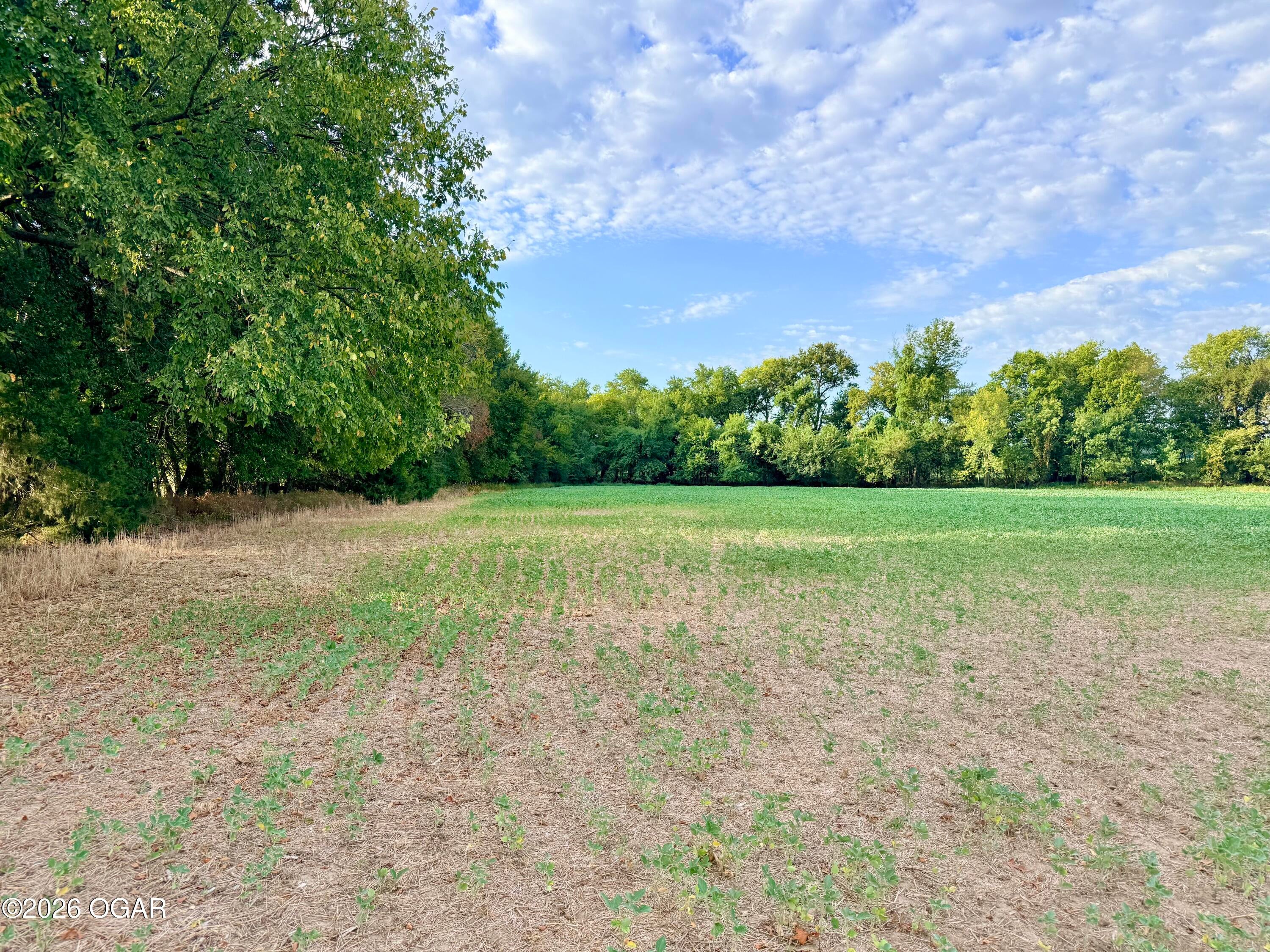 1 Oak Road Asbury, MO 64832 - Photo 29 of 39 Gallery Image 29