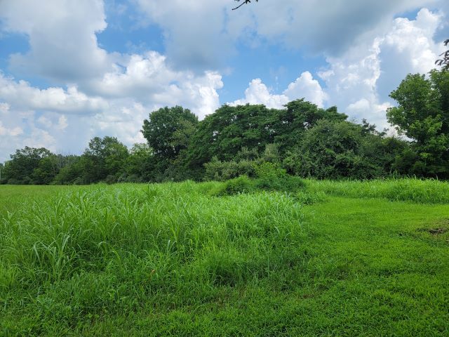 2035 Mt Hebron Road Makanda, IL 62958 - Photo 42 of 44