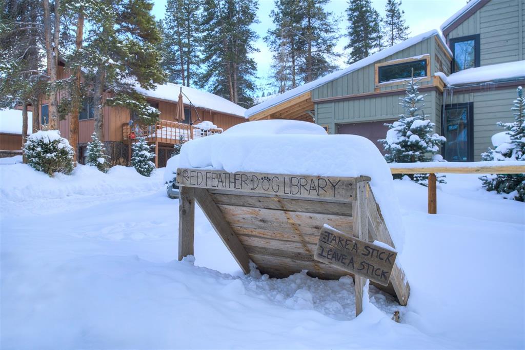 64 Red Feather Road Breckenridge, CO 80424 - Photo 2 of 34