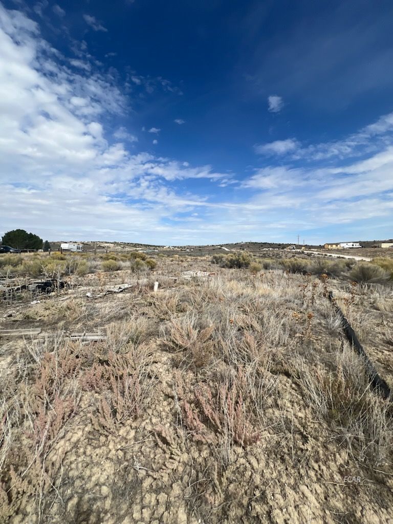 2016 Pickering Avenue Spring Creek, NV 89815 - Photo 5 of 11