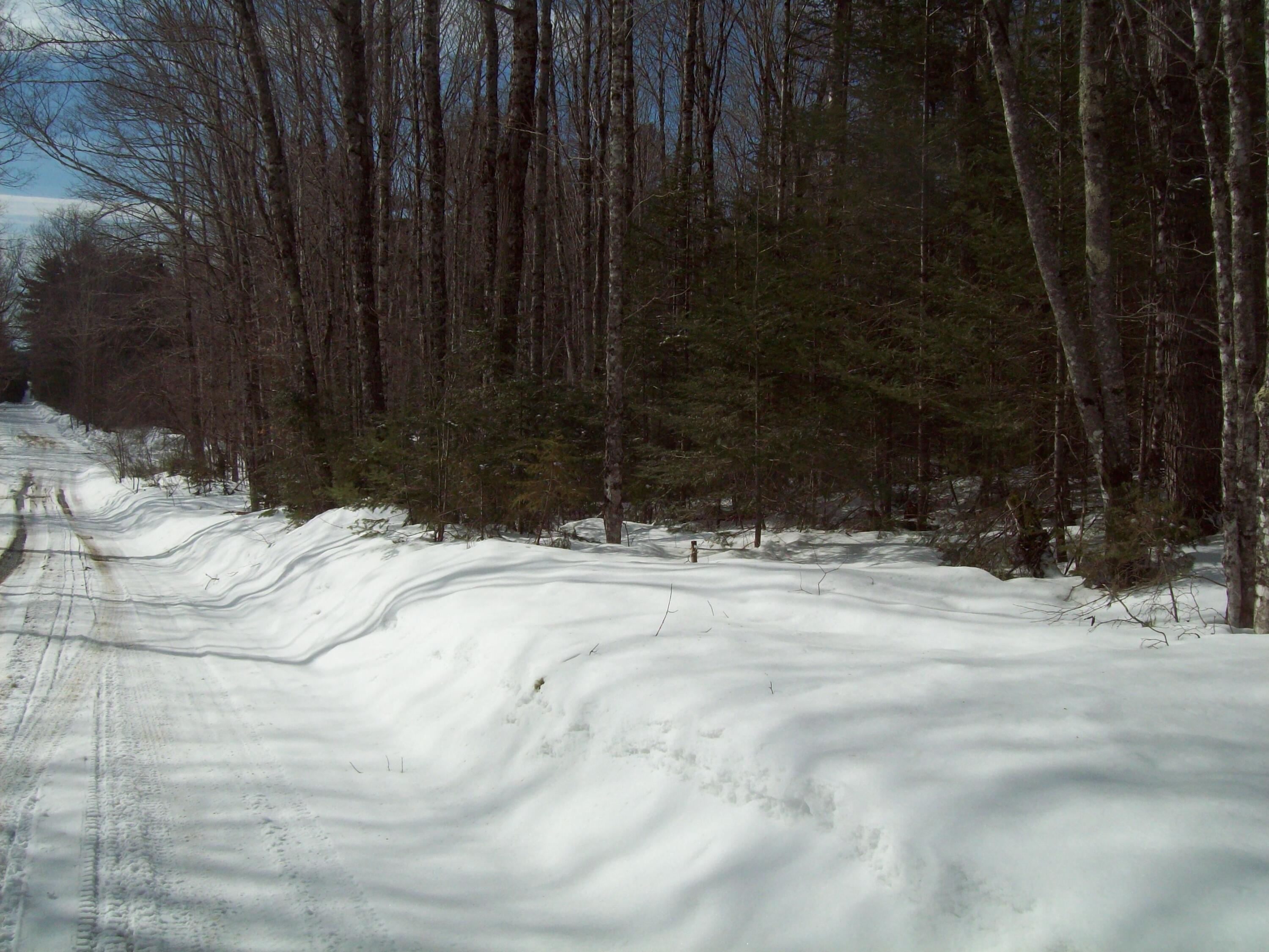580 Town Line Road Springfield, ME 04487 - Photo 18 of 21 100_2521