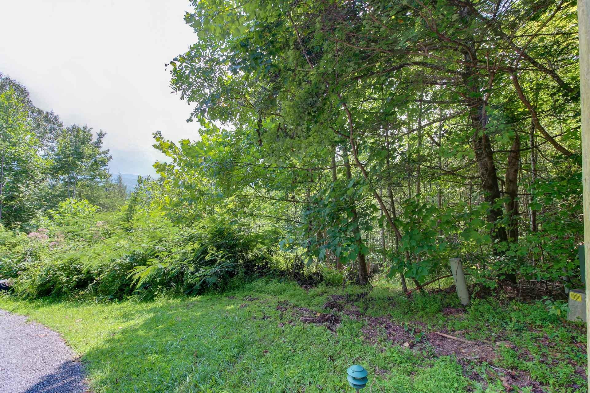 3334 Riversong Way Sevierville, TN 37876 - Photo 4 of 9 Gallery Image 4
