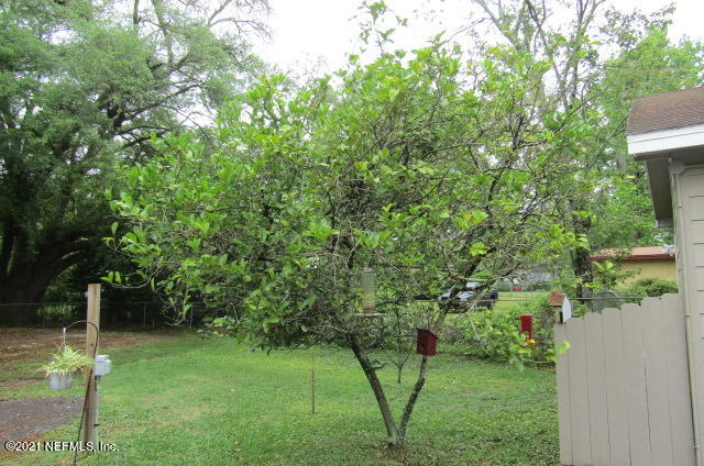 1155 Regis Road Jacksonville, FL 32218 - Photo 40 of 45 IMG_3087