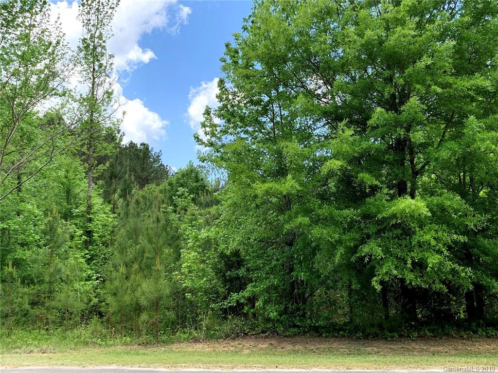 2.19-acres Ballindam Road, Unit 10 Chester, SC 29706 - Photo 1 of 2 Gallery Image 1