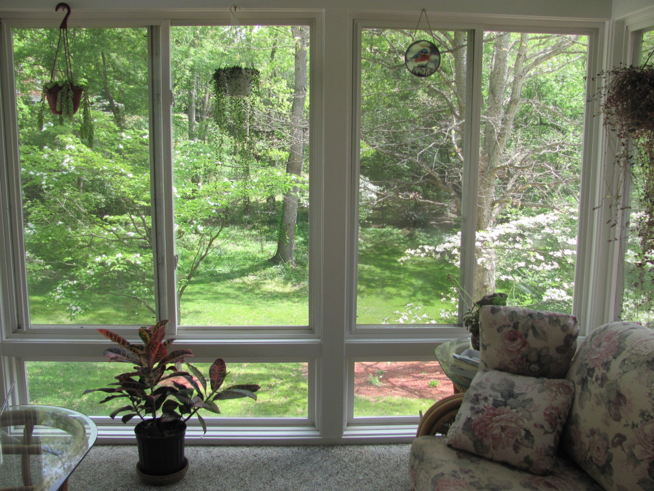 3728 Forest Road Roanoke, VA 24015 - Photo 15 of 49 Views from Sunroom