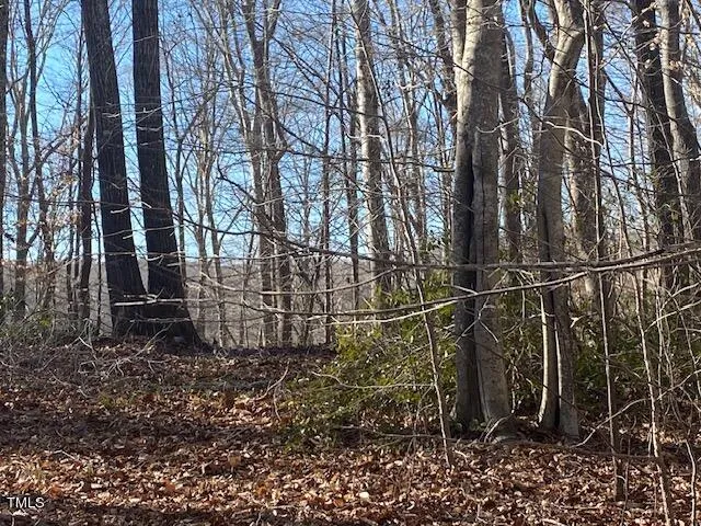 $90,000 | 1135 Peninsula Lane, Bullock, NC 27507