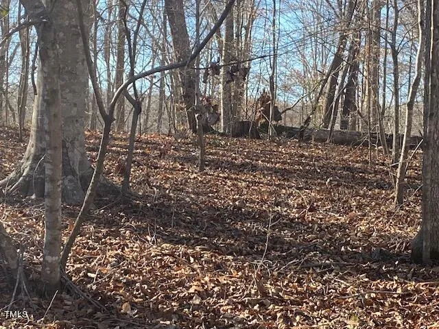 $90,000 | 1135 Peninsula Lane, Bullock, NC 27507