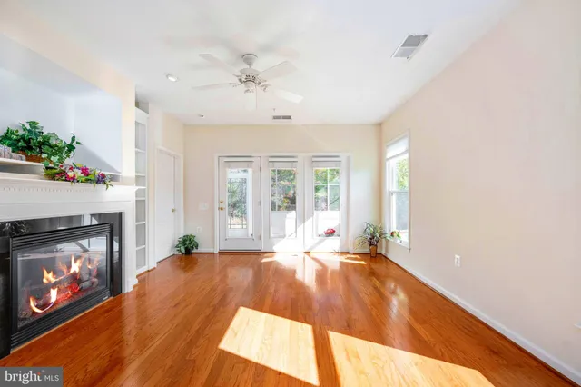 a view of a garden with a pathway